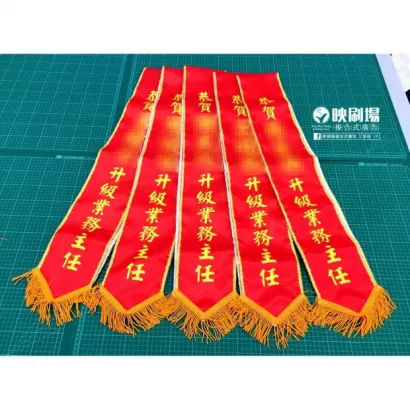 晉升背帶.webp 晉升背帶.webp